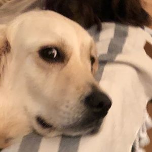 Meet your Posher, Logan